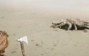 小姐姐看到鳄鱼怎么办呢,小姐姐遭遇鳄鱼时的自救攻略