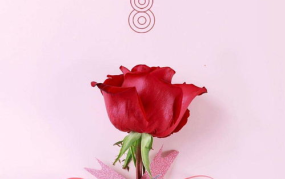 女神节祝福图片,温馨祝福，点亮女性节日光彩